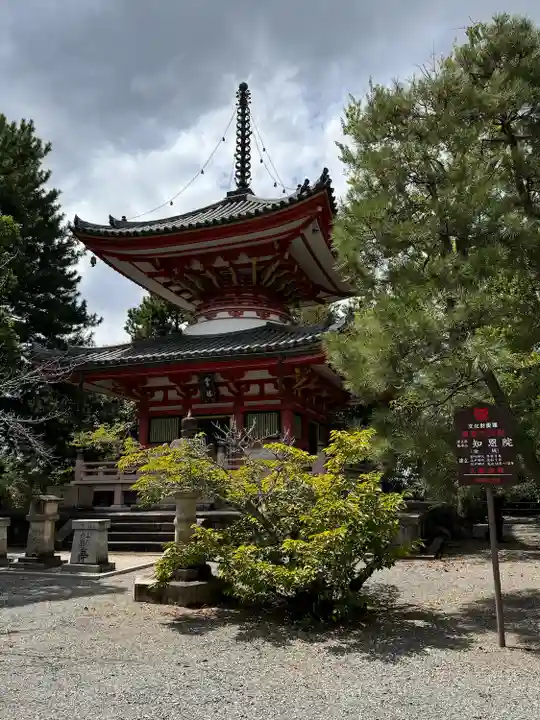 知恩院(京都府)