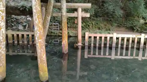 鹿島神宮(茨城県)