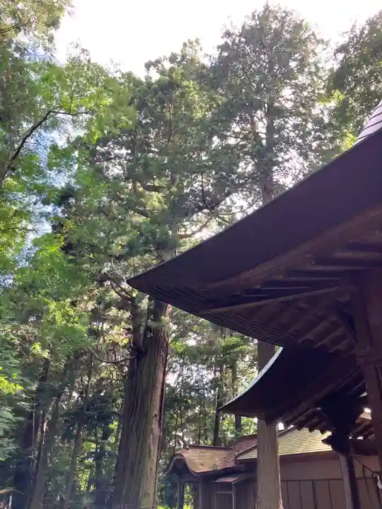 大生神社(茨城県)