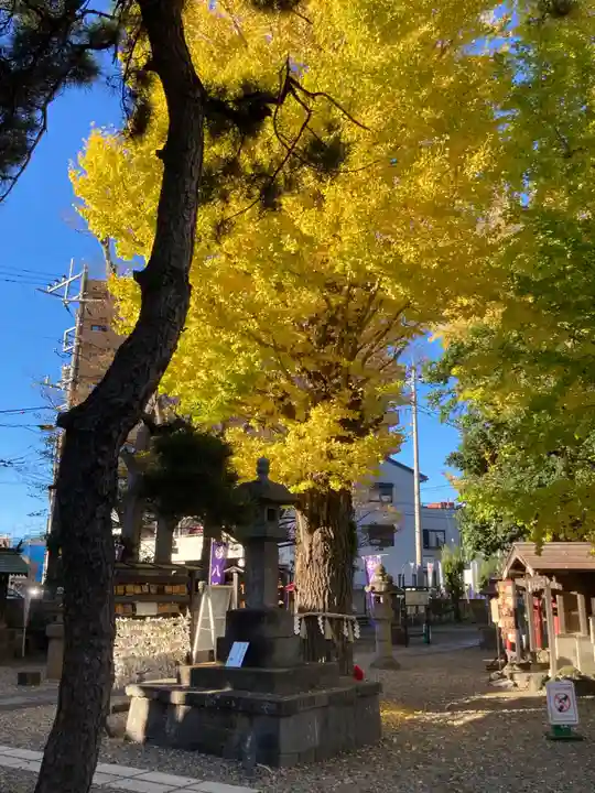取手八坂神社(茨城県)