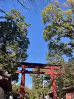 武蔵一宮氷川神社(埼玉県)