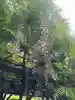 亀戸天神社(東京都)