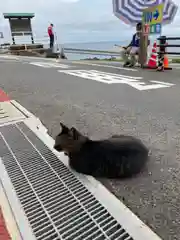 元乃隅神社の動物