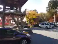 崇禅寺のその他建物