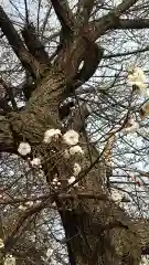 酒門神社の自然