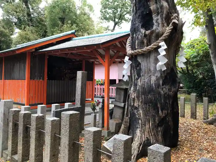 難波大社 生國魂神社(大阪府)