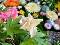 滑川神社 - 仕事と子どもの守り神の手水舎