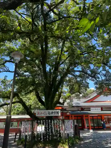 富士山本宮浅間大社(静岡県)