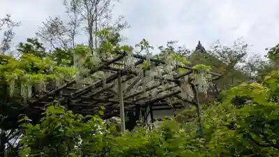 當麻寺奥院(奈良県)