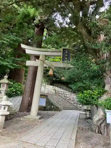 泉神社の鳥居