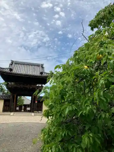 道明寺(大阪府)