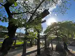 山家神社の自然