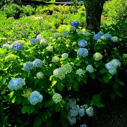極楽寺(静岡県)