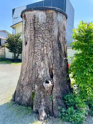 日野八坂神社(東京都)