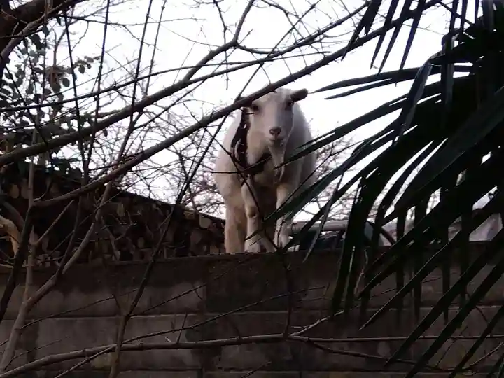 湊八幡神社(福井県)