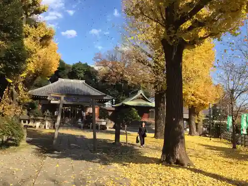 平塚神社のその他建物