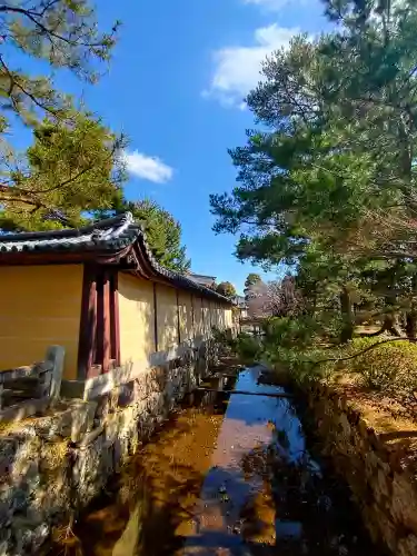 大覚寺(京都府)