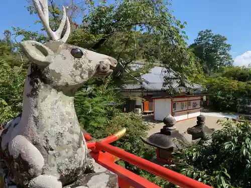 大原野神社(京都府)
