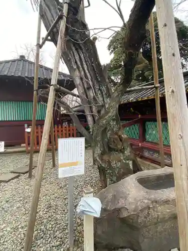 上野東照宮のその他建物