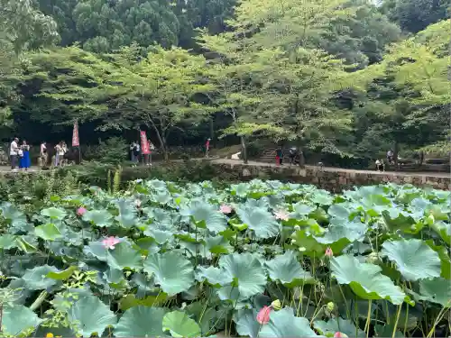 御髪神社の周辺