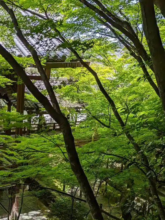 禅林寺(永観堂)(京都府)