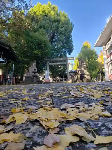 諏訪神社の鳥居