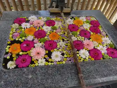 高円寺氷川神社の手水舎