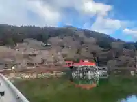 勝尾寺の{uncategorized: "未分類", other: "その他", undefined: "問題あり", building: "その他建物", grave: "お墓", sacred_gate: "鳥居", guardian: "狛犬", statue: "像", buddha: "仏像", history: "歴史", nature: "自然", garden: "庭園", animal: "動物", pagoda: "塔", temizu: "手水舎", mountain_gate: "山門・神門", sanctuary: "本殿・本堂", subordinate: "末社・摂社", art: "芸術", scenery: "景色", jizo: "地蔵", ema: "絵馬", goshuin: "御朱印", omikuji: "おみくじ", items: "授与品その他", amulet: "お守り", goshuincho: "御朱印帳", eats: "食事", festival: "お祭り", votive_dance: "神楽", shichigosan: "七五三参", wedding: "結婚式", experience: "体験その他", initially: "初詣", around: "周辺", anti_infection: "感染症対策"}