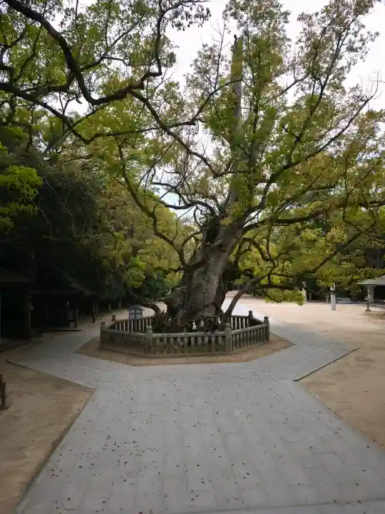 大山祇神社の{uncategorized: "未分類", other: "その他", undefined: "問題あり", building: "その他建物", grave: "お墓", sacred_gate: "鳥居", guardian: "狛犬", statue: "像", buddha: "仏像", history: "歴史", nature: "自然", garden: "庭園", animal: "動物", pagoda: "塔", temizu: "手水舎", mountain_gate: "山門・神門", sanctuary: "本殿・本堂", subordinate: "末社・摂社", art: "芸術", scenery: "景色", jizo: "地蔵", ema: "絵馬", goshuin: "御朱印", omikuji: "おみくじ", items: "授与品その他", amulet: "お守り", goshuincho: "御朱印帳", eats: "食事", festival: "お祭り", votive_dance: "神楽", shichigosan: "七五三参", wedding: "結婚式", experience: "体験その他", initially: "初詣", around: "周辺", anti_infection: "感染症対策"}