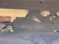 蔵福寺のその他建物