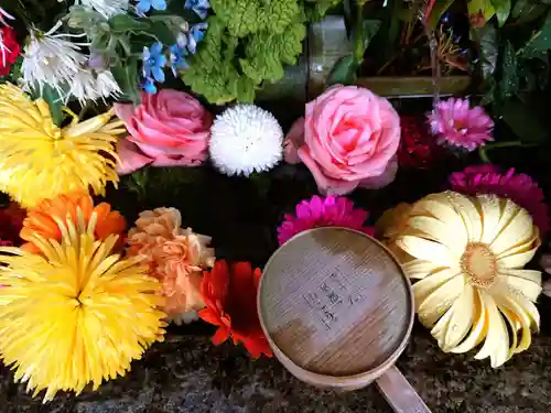 勝林寺(京都府)