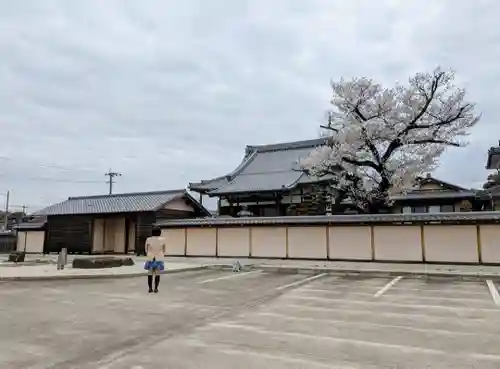 覚成寺の山門・神門