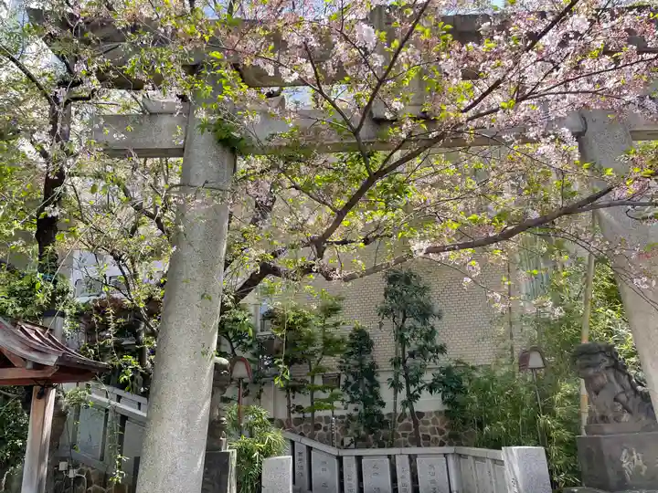 雉子神社の鳥居