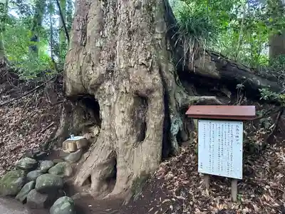 霧島岑神社(宮崎県)