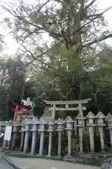 朝護孫子寺の鳥居