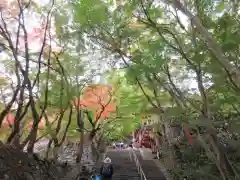 談山神社の自然