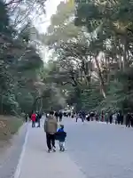 明治神宮(東京都)