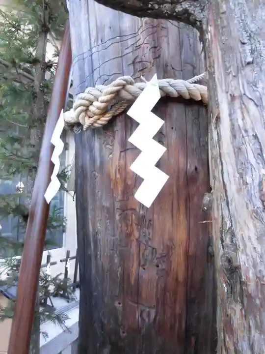 地主神社の自然