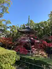 徳光院の塔