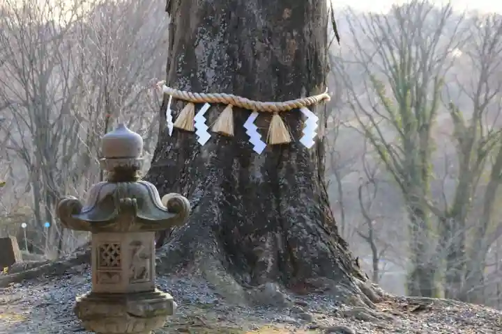 阿久津「田村神社」(郡山市阿久津町)旧社名:伊豆箱根三嶋三社の自然