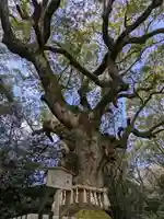 熱田神宮(愛知県)