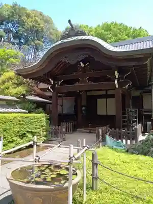 東長谷寺　薬王院(東京都)
