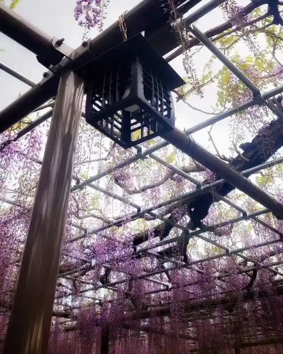 秋葉神社(愛知県)