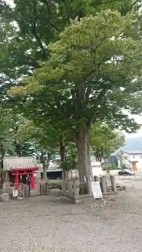 祝神社の自然