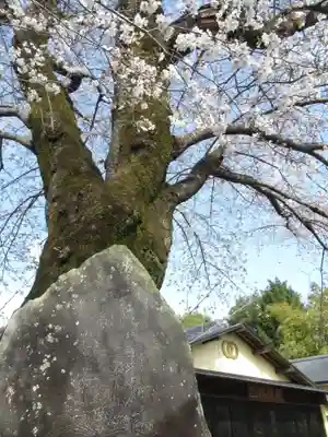 真光寺(千葉県)