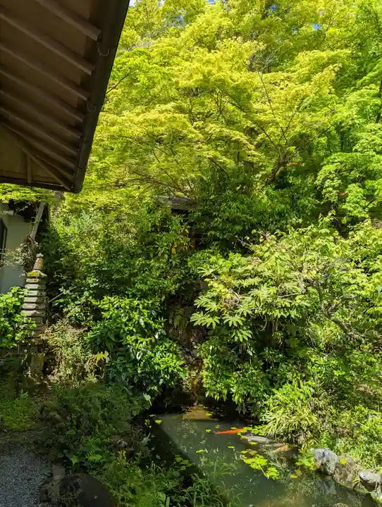 長法寺(京都府)