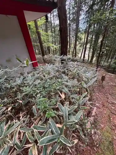 性海寺(兵庫県)