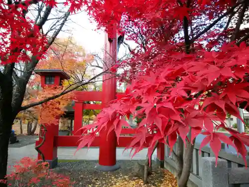 彌彦神社　(伊夜日子神社)の自然