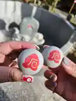 川越八幡宮(埼玉県)