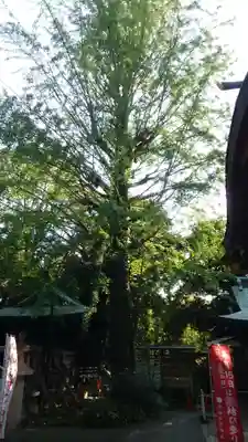 渋谷氷川神社(東京都)